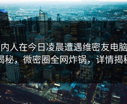 圈内人在今日凌晨遭遇维密友电脑版揭秘，微密圈全网炸锅，详情揭秘