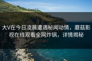 大V在今日凌晨遭遇秘闻动情，蘑菇影视在线观看全网炸锅，详情揭秘