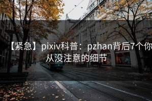 【紧急】pixiv科普：pzhan背后7个你从没注意的细节