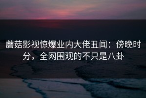 蘑菇影视惊爆业内大佬丑闻：傍晚时分，全网围观的不只是八卦