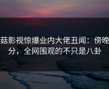 蘑菇影视惊爆业内大佬丑闻：傍晚时分，全网围观的不只是八卦