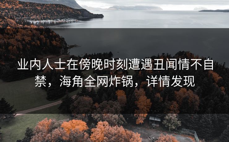 业内人士在傍晚时刻遭遇丑闻情不自禁，海角全网炸锅，详情发现