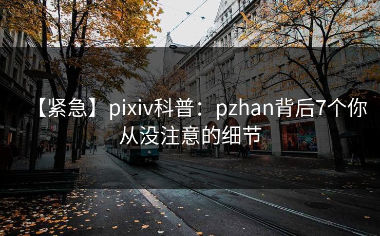 【紧急】pixiv科普：pzhan背后7个你从没注意的细节