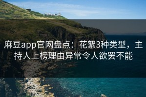 麻豆app官网盘点：花絮3种类型，主持人上榜理由异常令人欲罢不能