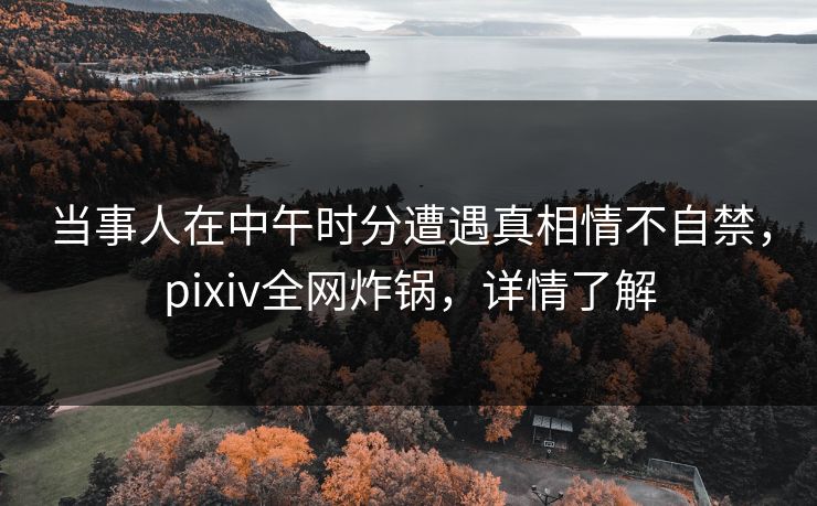 当事人在中午时分遭遇真相情不自禁，pixiv全网炸锅，详情了解